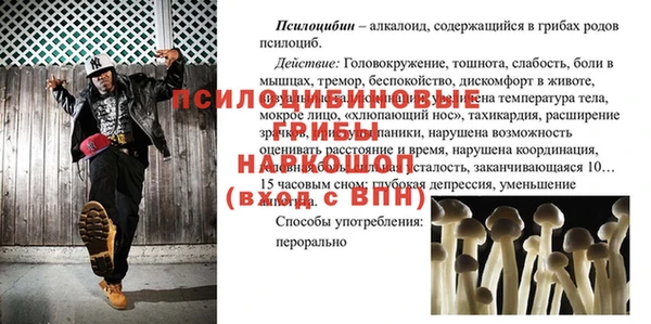spice Арсеньев