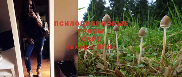 spice Арсеньев