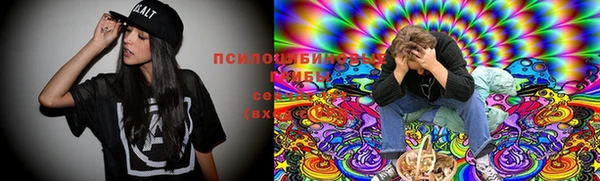 бутират Баксан