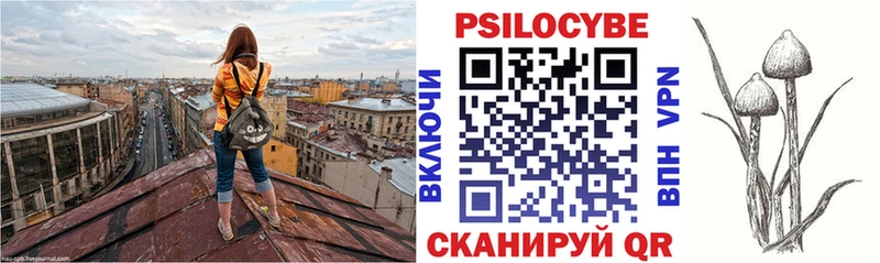 kraken вход  Певек  Псилоцибиновые грибы ЛСД 